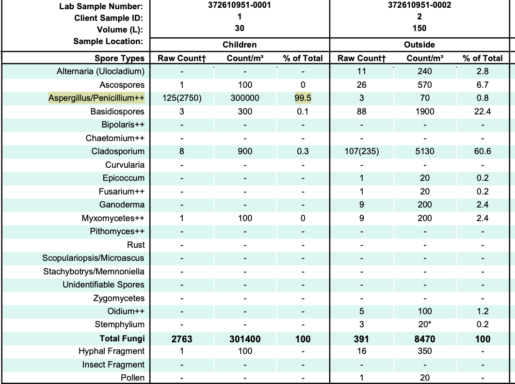 Raport de laborator cu rezultatele testării volumetrice a sporilor de mucegai, evidențiind Aspergillus/Penicillium la 300.000 spori/m³ în camera copilului